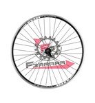 RUOTA POSTERIORE 26 MTB 7/8 VELOCITA