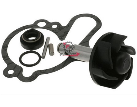 KIT POMPA H2O MINARELLI AM6
