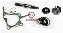 KIT POMPA H2O HONDA FORESIGHT 250 4T