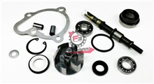 KIT REVISIONE POMPA H2O KYMCO 250 4T