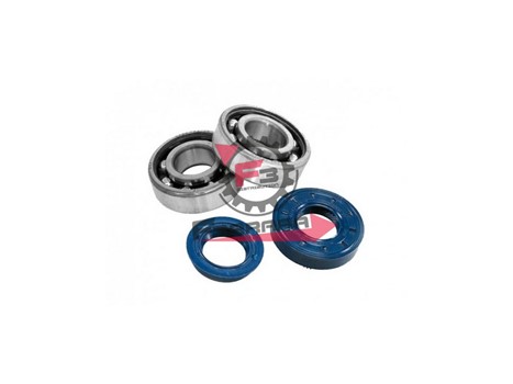KIT REVISIONE BANCO MINARELLI AM3456
