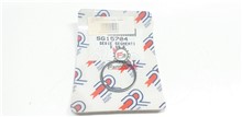 SEGMENTI 40,5 X 1,2 GRANO INTERNO