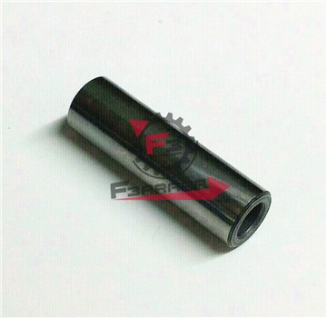 SPINOTTO PISTONE D12 X 37