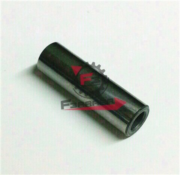 SPINOTTO PISTONE D10 X 36