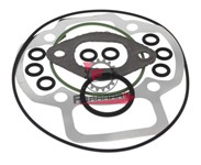 GUARNIZIONI PIAGGIO 47,6 ZIP H2O(SR)