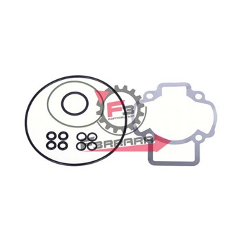 GUARNIZIONI PIAGGIO 50 H2O 47 (SR)