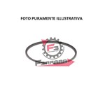 SEGMENTO 47,4 X 1,5 GR/ESTERNO POLIN