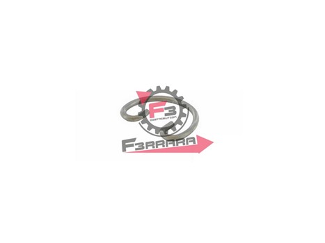 FERMO SPINOTTO D.12 2 BECCHI POLINI