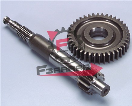 RAPPORTI PRIMARI PIAGGIO 13/40