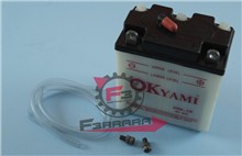 BATTERIA 6N6-3B OKYAMI (99X57X111)