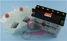 BATTERIA Y50-N18L-A/A2 OKYAMI
