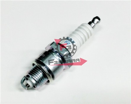 CANDELA BPR8HS NGK (B)