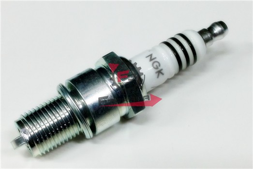 CANDELA BR9EIX NGK (3981 B) IRIDIO