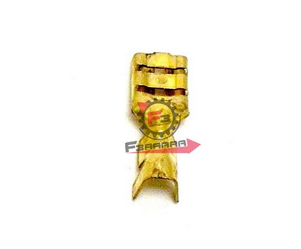TERMINALE FASTON 4,8MM