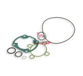 GUARNIZIONI APRILIA 47 SR DITECH (SR