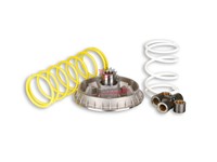 VARIATORE HONDA FORESIGHT250 MALOSSI