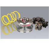 VARIATORE APRILIA SCARABEO 125/150