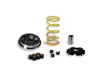 VARIATORE MALAGUTI F12 100 MALOSSI