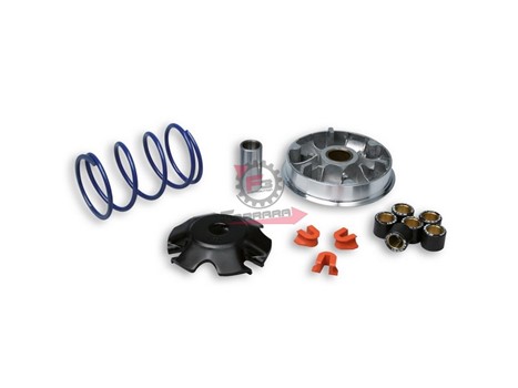 VARIATORE PEUGEOT 100 KATANA MALOSSI