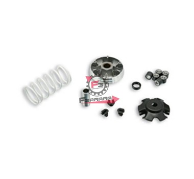 VARIATORE PIAGGIO ZIP 50 4T MALOSSI