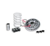 VARIATORE BEVERLY 500 (6RULLI)