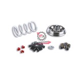 VARIATORE MALAGUTI F12 R MALOSSI