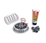 VARIATORE BEVERLY 500 (8RULLI)