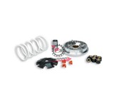 VARIATORE HONDA VISION 4T MALOSSI