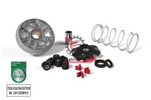 VARIATORE APRILIA-YAMAHA 50 MALOSSI
