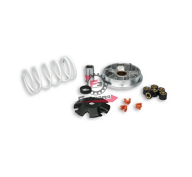 VARIATORE PEUGEOT SQUAB-BUXY