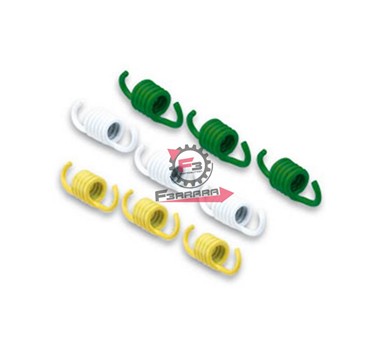 MOLLE FRIZIONE RACING MALOSSI (SR)