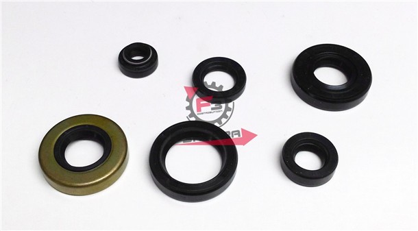 PARAOLI MOTORE MINARELLI AM345 (SR)