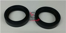PARAOLI FORCELLA 33.45.11 (SR)