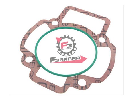 GUARNIZIONI PIAGGIO ARIA D47,6 TPR