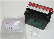 BATTERIA YTX14-BS CON ACIDO MINARELL