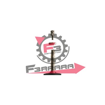 CAMERA 20 X 175 V/ITALIA MVTEK