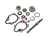 KIT REVISIONE POMPA H2O KYMCO 150 4T