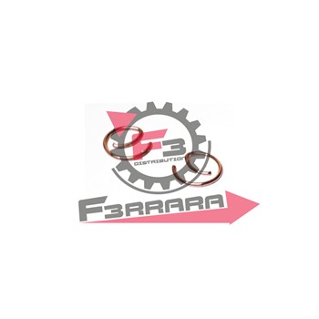 CONF.(20PZ) FERMO PISTONE D.10
