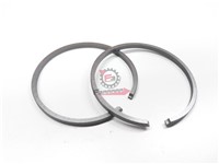 SEGMENTI 47,4 X 2,5 GR/ESTERNO (SR)