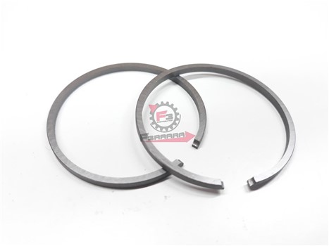 SEGMENTI 47,4 X 2,5 GR/ESTERNO (SR)