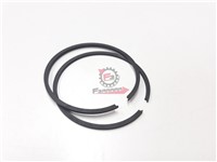 SEGMENTI 50 X 1,5 GR/INTERNO (SR)