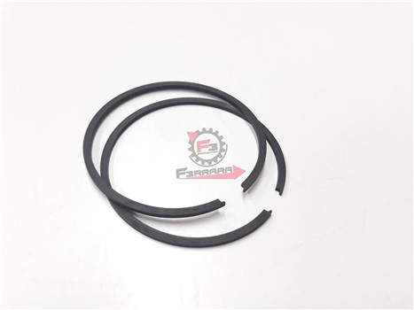 SEGMENTI 50 X 1,5 GR/INTERNO (SR)