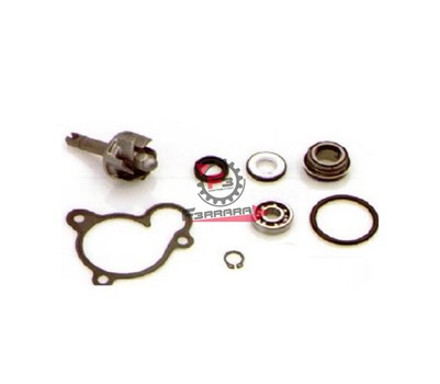 KIT REVISIONE POMPA YAMAHA 250/270
