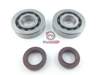 KIT REVISIONE BANCO PIAGGIO 50
