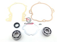 KIT REVISIONE BANCO SI-CIAO-BOXER
