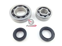 KIT REVISIONE ALBERO MOTORE PIAGGIO