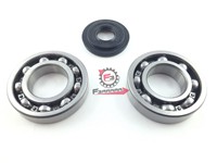 KIT REVISIONE ALBERO MOTORE HONDA SH