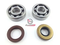 KIT REVISIONE ALBERO MOTORE AM345
