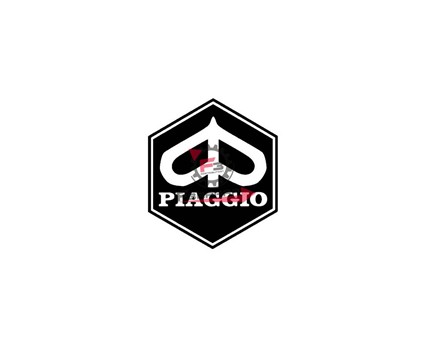 SCUDETTO PIAGGIO ADESIVO RESINA