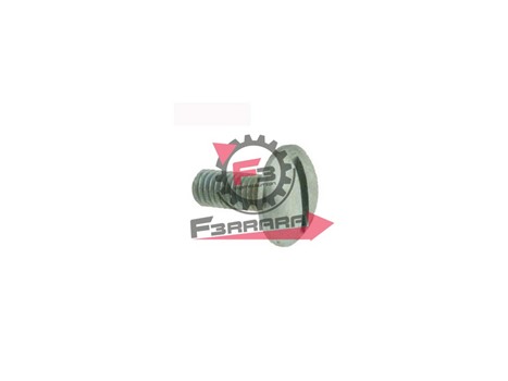 VITE PARAFANGO VESPA 014467